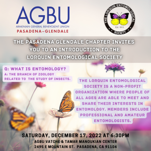the Lorquin Entomological Society showcasing collections of butterflies Dec. 17, 2022