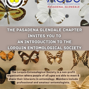 An Introduction to the Lorquin Entomological Society January 2024