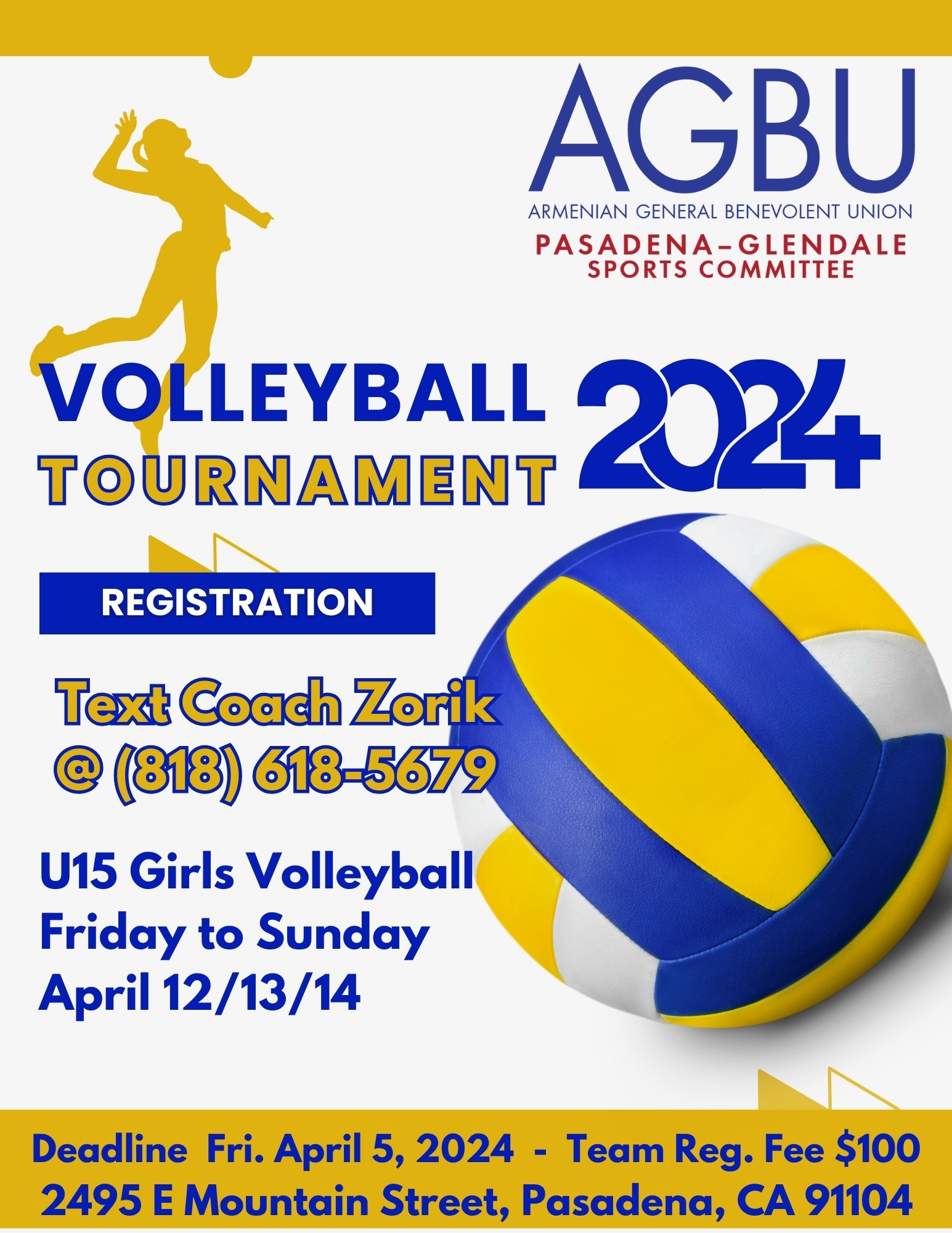 Girls Volleyball Tournament 2024